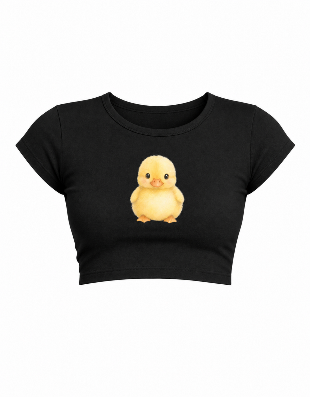 Baby chicky