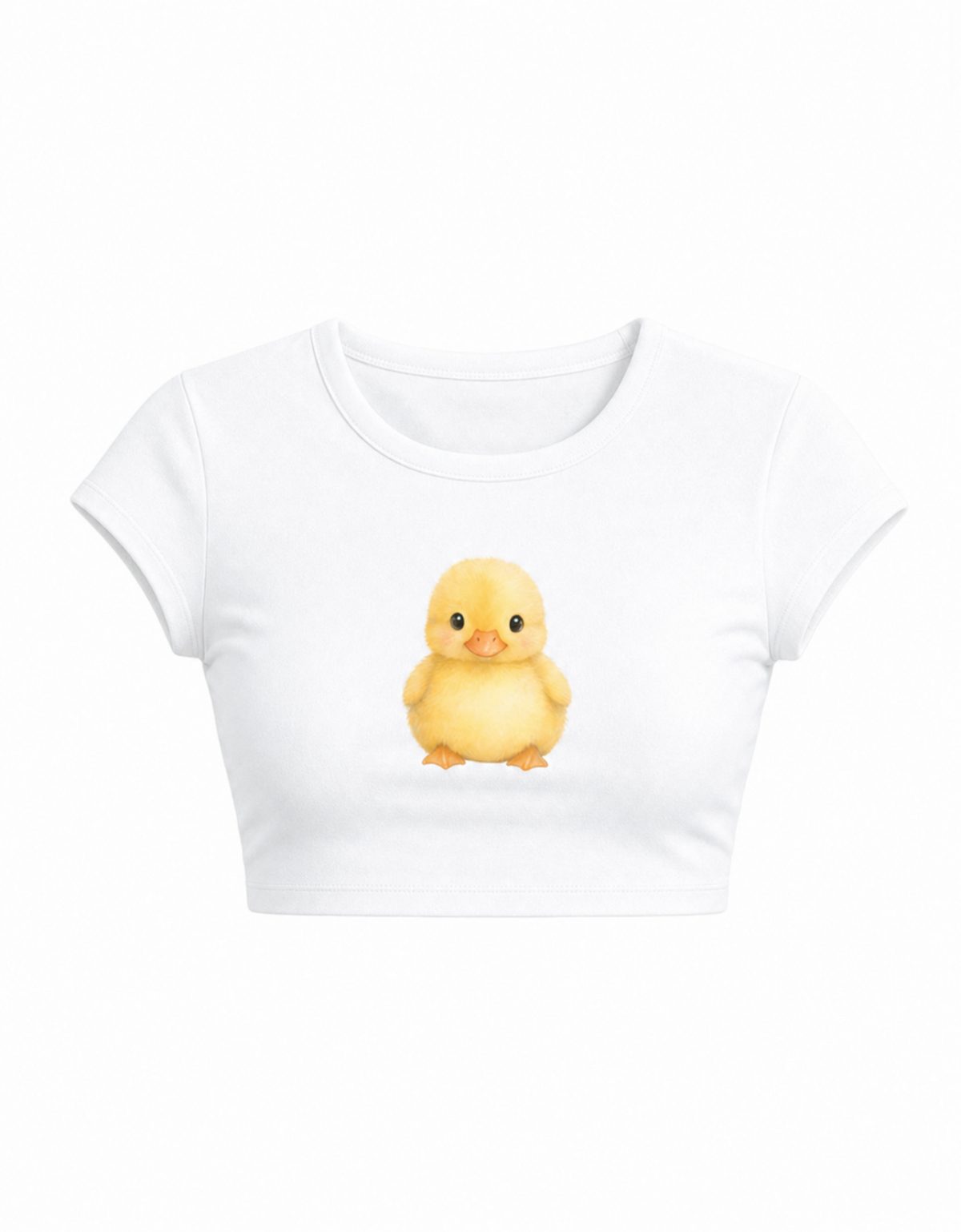Baby chicky