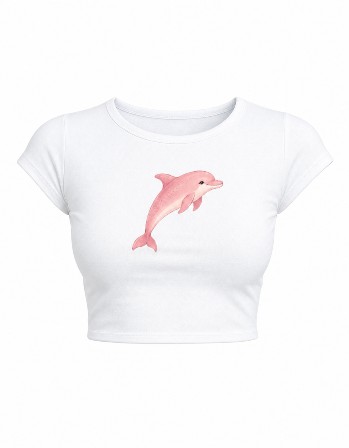 Dolphin